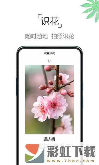 養(yǎng)花大全