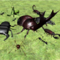 臭蟲戰(zhàn)斗模擬器3D(Bug Battle Simulator)