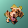 寵物狗狗的拼圖挑戰(zhàn)(Dogs Mania Jigsaw Puzzles)